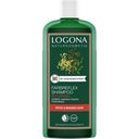 eccoverde LOGONA Farbreflex-Shampoo Rot-Braun 250 ml