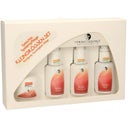 eccoverde Martina Gebhardt Rose Mini Set 4 teiliges Set (4 Stk)