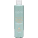 eccoverde MaterNatura Shampoo mit Weißem Tee - für häufige Anwendungen 250 ml