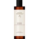 eccoverde MICHAEL DROSTE-LAUX Basisches Shampoo 200 ml