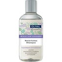 eccoverde OLIVAL Natural Mint & Lavender Shampoo 250 ml