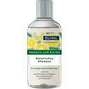 eccoverde OLIVAL Natural Rosemary & Lemon Shampoo 250 ml