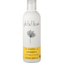eccoverde Phitofilos Sinergia Nährendes Shampoo 250 ml