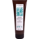 eccoverde PHYTORELAX LABORATORIES Hemp Shower & Shampoo 250 ml