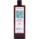 eccoverde PHYTORELAX LABORATORIES Hemp Showergel 500 ml