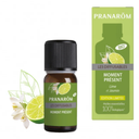eccoverde Pranarôm Bio Aromamischung "Im Hier und Jetzt" 10 ml