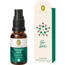 eccoverde PRIMAVERA Geschenkanhänger Energiekick 20 ml