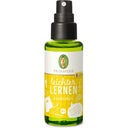 eccoverde PRIMAVERA Leichter Lernen Raumspray KIDS bio 50 ml