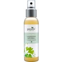 eccoverde provida organics 3in1 Haarspray naturell 100 ml