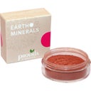 eccoverde provida organics Earth Minerals Satin Matte Blush Ivy (4 g)