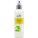 eccoverde provida organics Kräuterdeo naturell 150 ml