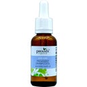 eccoverde provida organics Provident Zahnputzöl 30 ml