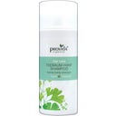 eccoverde provida organics Teebaum Hanf Shampoo 150 ml