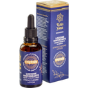 eccoverde Rasayana triphala Strengthening Lotion 50 ml