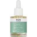 eccoverde REN Clean Skincare EVERCALM Barrier Support Elixir 30 ml