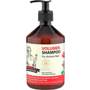 eccoverde Rezepte der Oma Gertrude Volumen Shampoo 500 ml