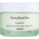 eccoverde Sandawha Camellia Renew Moisturizing Liposome Cream 55 g