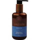 eccoverde soultree Aamla & Vetiver with Purifying Neem Hair & Body Wash 250 ml