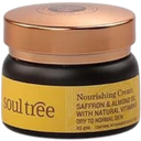 eccoverde soultree Safron & Almond Nourishing Cream 60 g