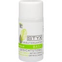 eccoverde STYX Kräutergarten Gesichtstonic mit Bio-Arnika 30 ml