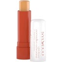 eccoverde Sylveco Cinnamon Sea Buckthorn Lip Balm 4 60 g