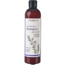 eccoverde Sylveco Conditioning Shampoo with Betulin 300 ml