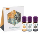 eccoverde TAOASIS Baldini Saunaessenzen Kennenlern-Set bio 10 ml