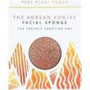eccoverde The Konjac Sponge Company The Elements Fire with Purifying Volcanic Scoria Full Size Facial Sponge