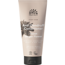 eccoverde URTEKRAM Sweet Ginger Flower Anti-Dandruff Conditioner 180 ml