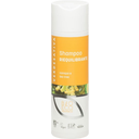 eccoverde VERDESATIVA Ausgleichendes Shampoo 200 ml