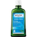 eccoverde Weleda Salbei Deodorant 200 ml Nachfüller