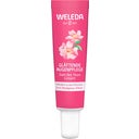 eccoverde Weleda Wildrose & Weißer Tee Glättende Augenpflege 12 ml