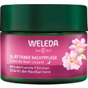 eccoverde Weleda Wildrose & Weißer Tee Glättende Nachtpflege 40 ml