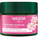 eccoverde Weleda Wildrose & Weißer Tee Glättende Tagespflege 40 ml