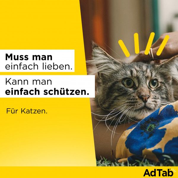 Bodyguardapotheke ADTAB 48 Mg Kautabletten Für Katzen >2-8 Kg