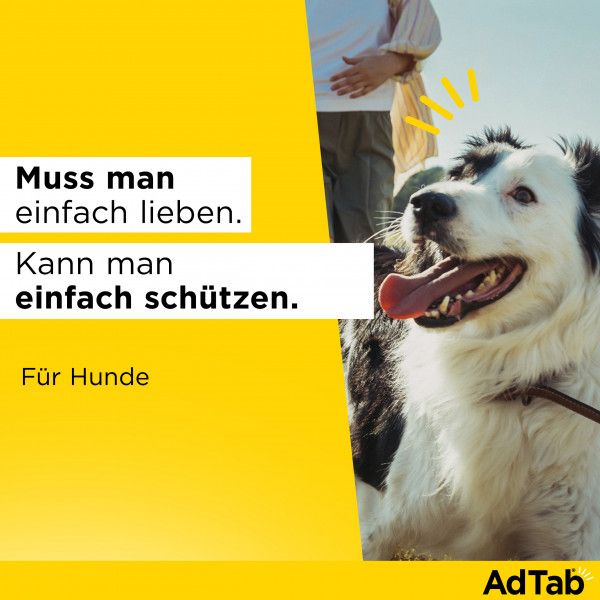 Bodyguardapotheke ADTAB 56 Mg Kautabletten Für Hunde 1 3-2 5 Kg
