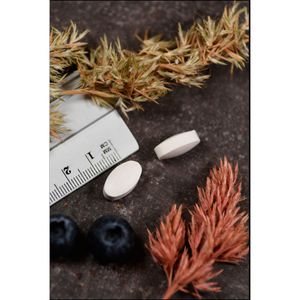 bodyguardapotheke BETAIN HCL+250 mg Tabletten