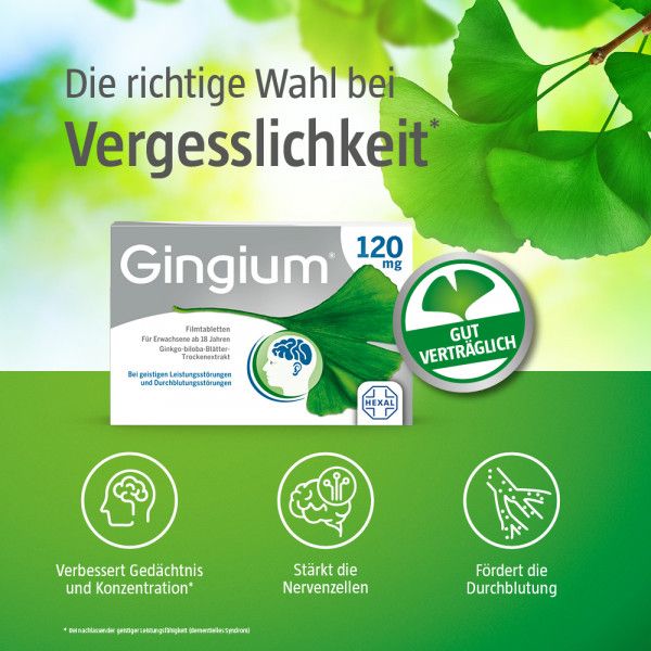 Bodyguardapotheke GINGIUM 120 Mg Filmtabletten