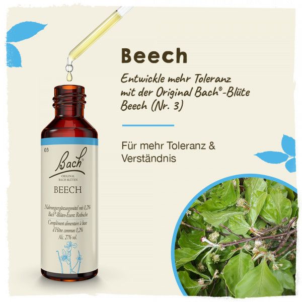 Bodyguardapotheke Original Bachblüten Beech 20ml