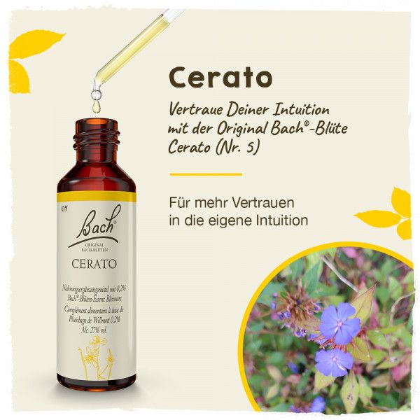 Bodyguardapotheke Original Bachblüten Cerato 20ml