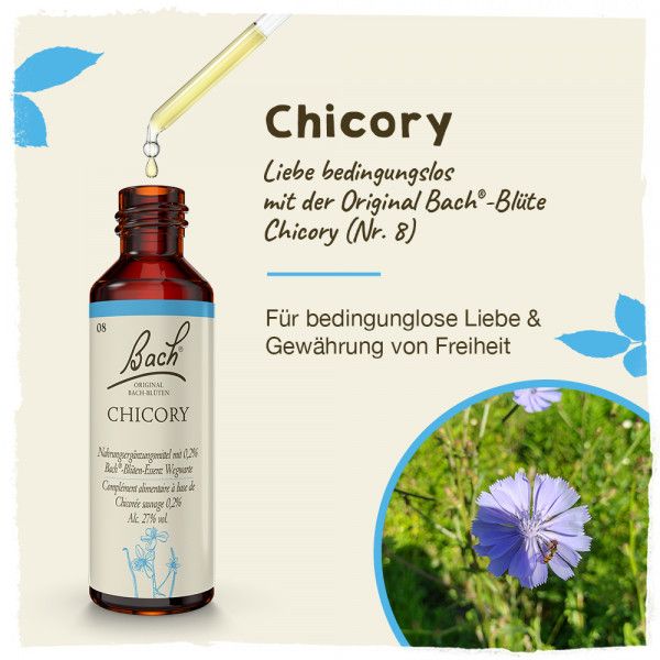 Bodyguardapotheke Original Bachblüten Chicory 20ml