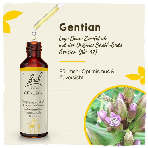 Bodyguardapotheke Original Bachblüten Gentian 20ml