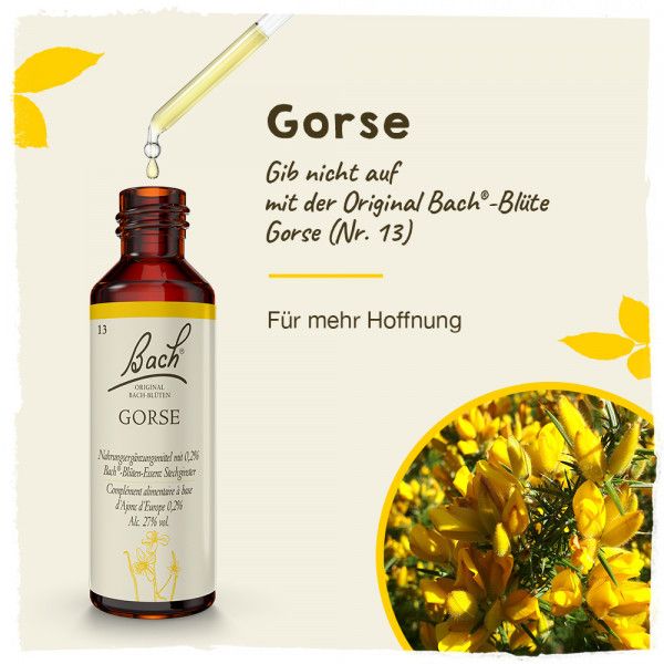 Bodyguardapotheke Original Bachblüten Gorse 20ml