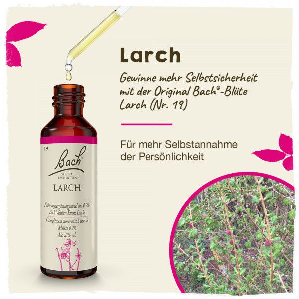 Bodyguardapotheke Original Bachblüten Larch 20ml