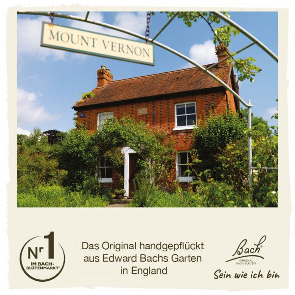 Bodyguardapotheke Original Bachblüten Larch 20ml