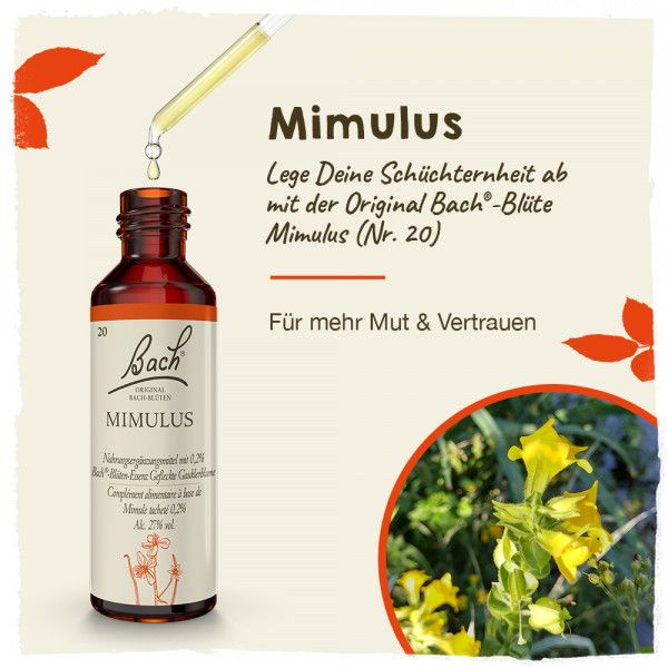 Bodyguardapotheke Original Bachblüten Mimulus 20ml