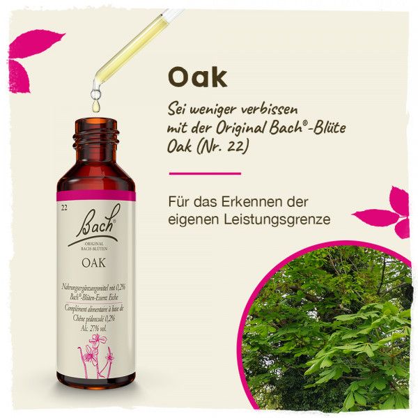 Bodyguardapotheke Original Bachblüten Oak 20ml