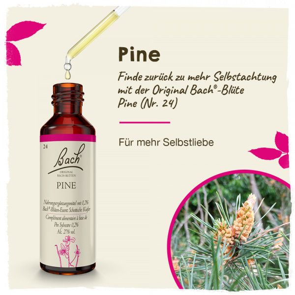 Bodyguardapotheke Original Bachblüten Pine 20ml