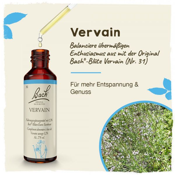 Bodyguardapotheke Original Bachblüten Vervain 20ml