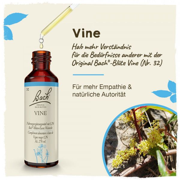 Bodyguardapotheke Original Bachblüten Vine 20ml